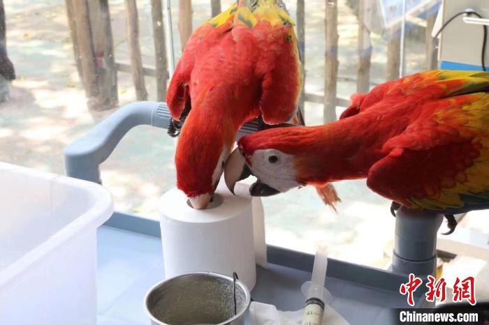 ���ں��ز�����˽�������ġ�(����ͼ)���ں��ع�ͼ