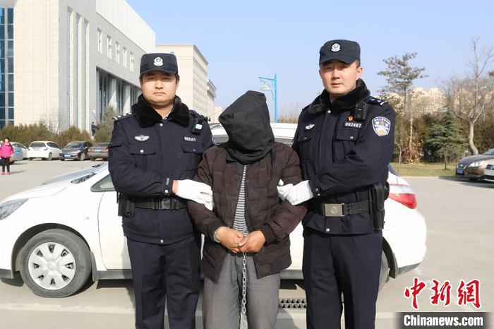 �������ľ���ץ������13��������������������