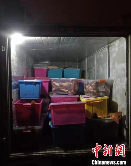 被电网无差别捕捞的万余斤各类湖鱼。法院供图