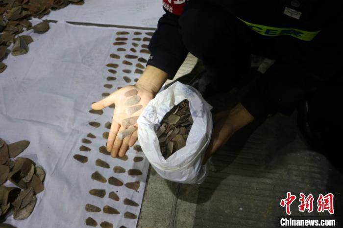 ���������һҳ