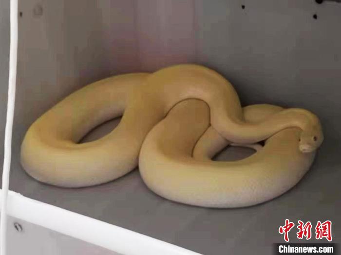 吉林警方跨国追逃从越南押回潜逃境外的犯罪嫌疑人