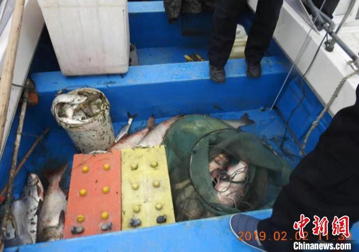 午夜“黑电网”破坏国家级保护区违法电捕鱼者被判百万元罚金