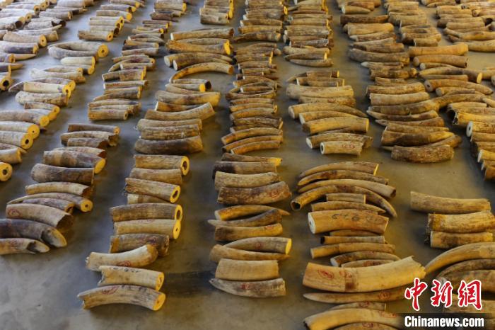 ͼΪ&ldquo;8.28&rdquo;�ش���˽�����ȱ�Σ������Ʒ���������� ���� ��