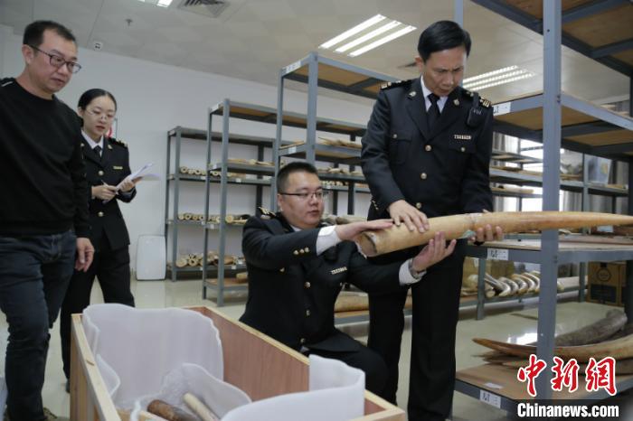 ���������ƽ�2700ǧ�˱�Σ��ֲ�Ｐ����Ʒ�ϿطǷ�ó��