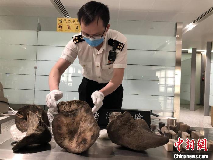 �Ϻ����Ż������ز�����Ϭţ����˽��