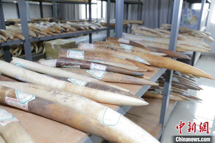 ͼΪ�����ƽ��ı�Σ���ּ�����Ʒ ���� ��