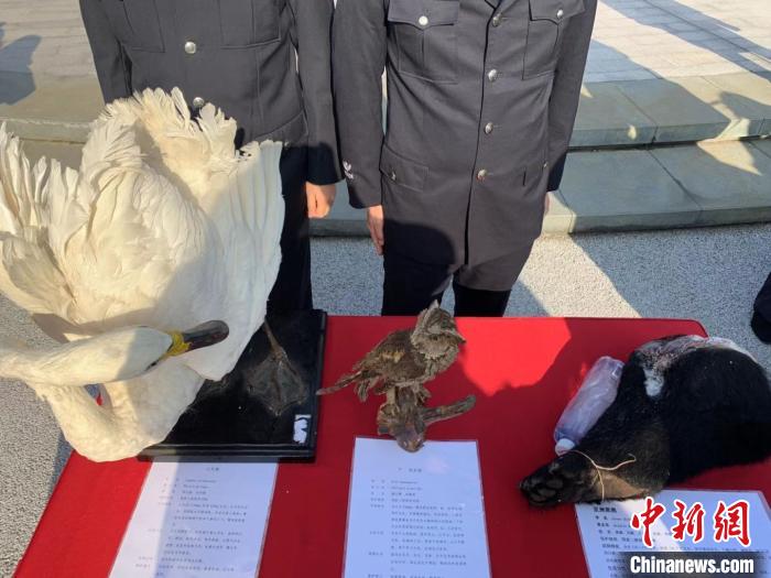 ͼΪ�ɹ�չ�еĲ��ֱ�������չʾ ��һ�� ��