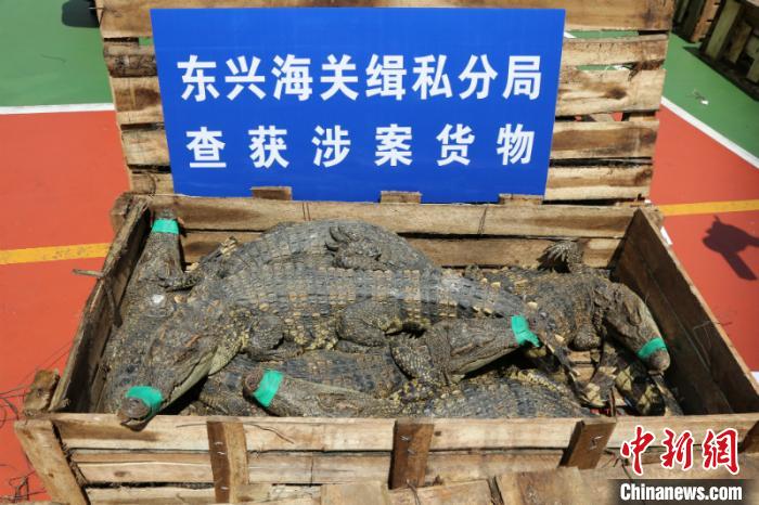 ͼΪ���ز����˽���� ������ ��