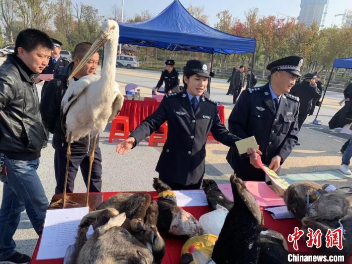 ͼΪ������Ϊ�����ռ�Ұ�����ﱣ��֪ʶ ��һ�� ��