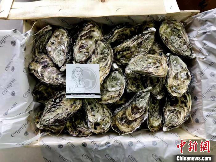 法国生蚝品牌“吉娜朵”权利人向宝山公安分局反映,上海、北京、浙江等地市场出现了假冒“吉娜朵”品牌生蚝,警方随即成立专案组开展侦查。 (作者 上海警方供图)