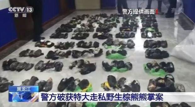 ���������һҳ