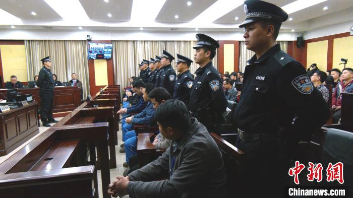 图为庭审现场。 陶新妮 摄