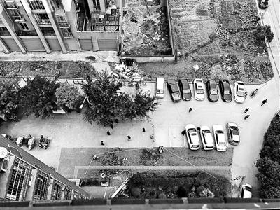 ���������һҳ