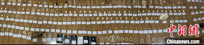 青海一特大非法收购、运输、出售珍贵濒危野生动物制品案宣判