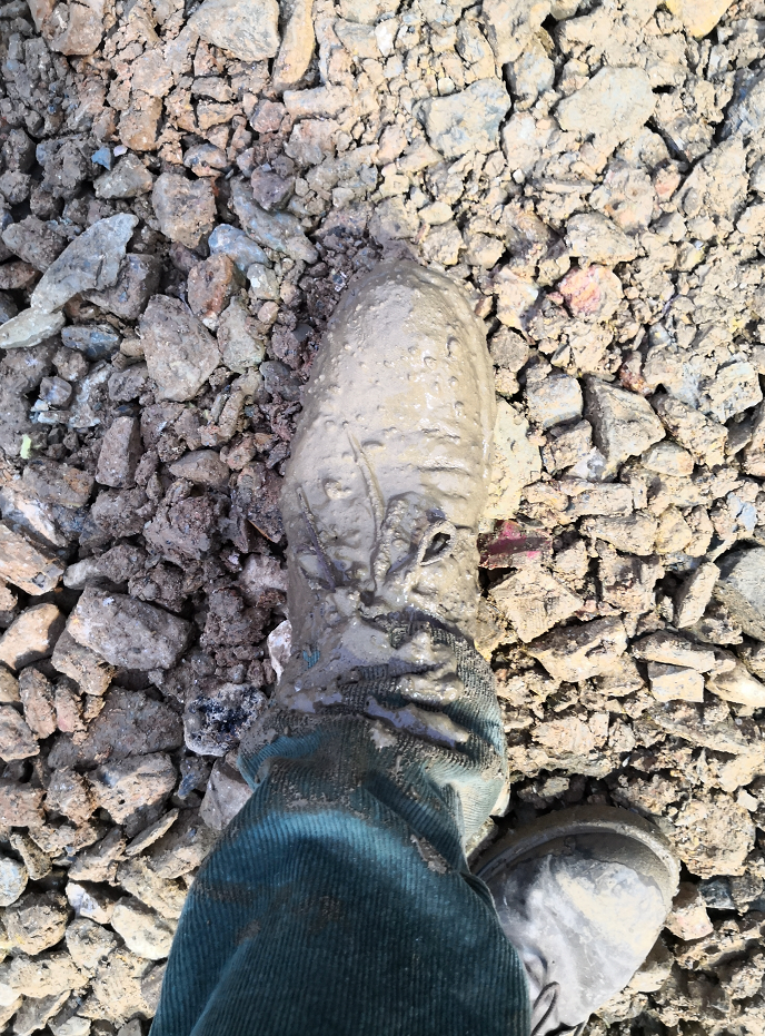 ���������һҳ