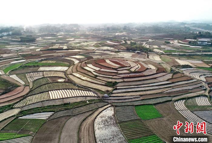 �����¹ڷ���ȷ�ﲡ������251����ȡ������ٴ뻯������Ӱ��