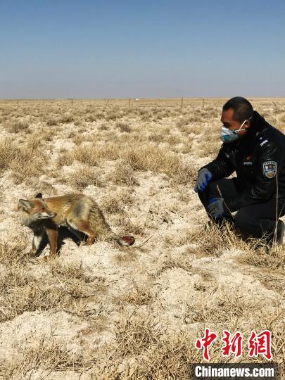 ���������һҳ