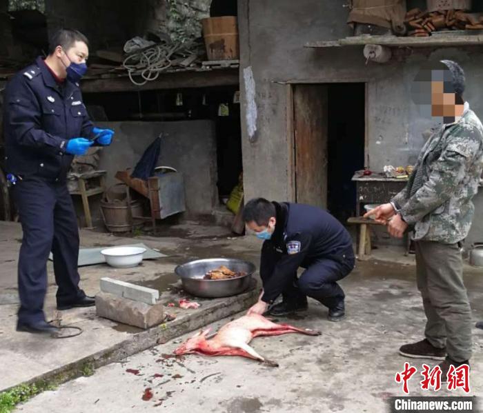 ���쾯���սɷǷ��Բ�Ұ������2400��ͷ