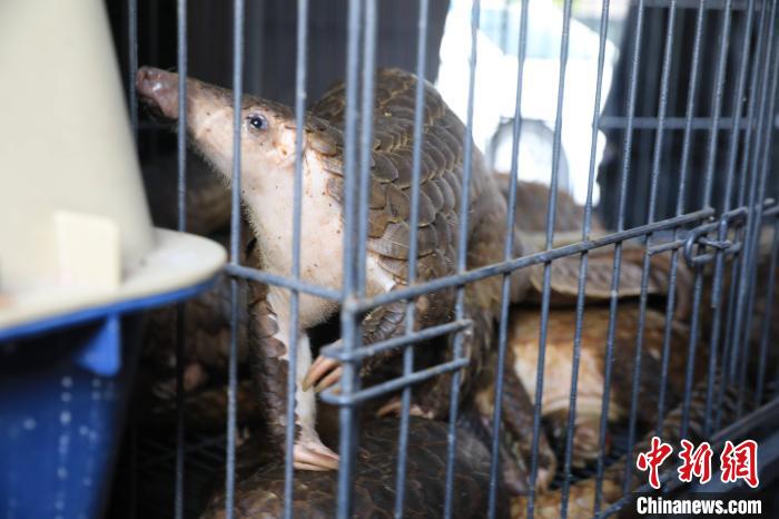 �㽭�����ƻ��ش�Ƿ��չ���������ΣҰ�����ﰸ