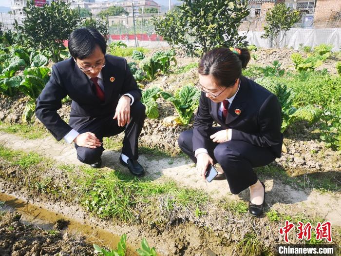 买卖一只鸟或青蛙要担多大责?浙江台州检察以案说法