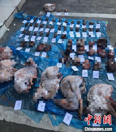 ���������һҳ