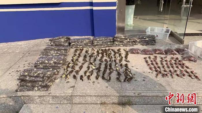 ��ǧ��ֻ��ͷ�c�ⶾɱ��Ǩ��Ժ&ldquo;����&rdquo;һ��Ƿ����԰�