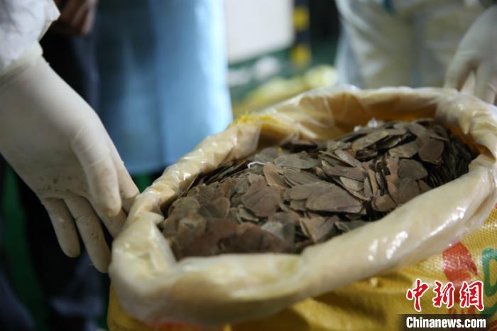 ͼΪ��ɽ����Ƭ ������ ��