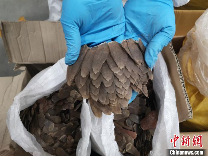 ͼΪ��ɽ����Ƭ ������ ��