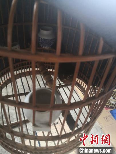 �㽭��������һ�����ƻ�7��Ƿ����԰�ץ��14��