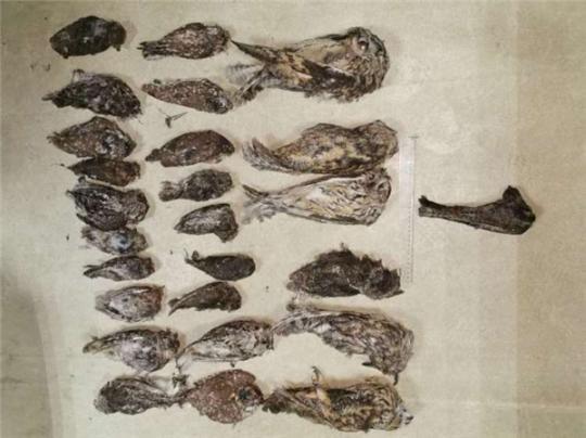 ���������һҳ