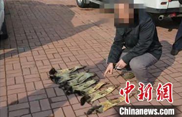 ������������ĳָ�ϷǷ��Բ�������Ƥ��������ʡ���������ַ����־ֹ�ͼ