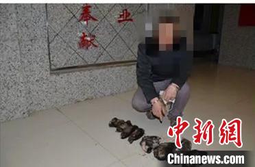 ������������ĳָ�ϷǷ��Բ��ĺ����ơ�������ʡ���������ַ����־ֹ�ͼ