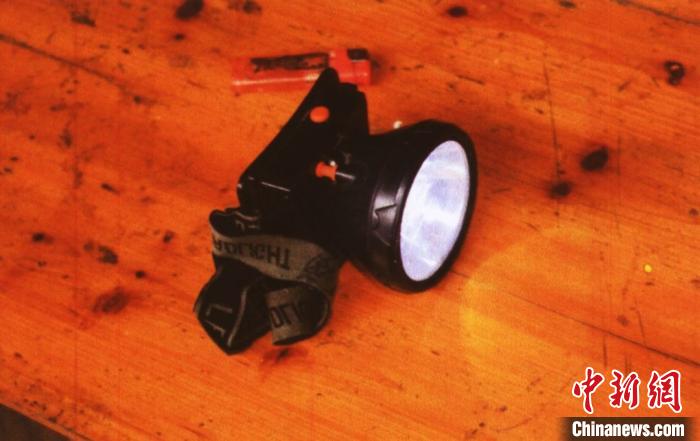 �㽭һ�����Բ�48ֻ�����������ӷǷ������ﱻ����