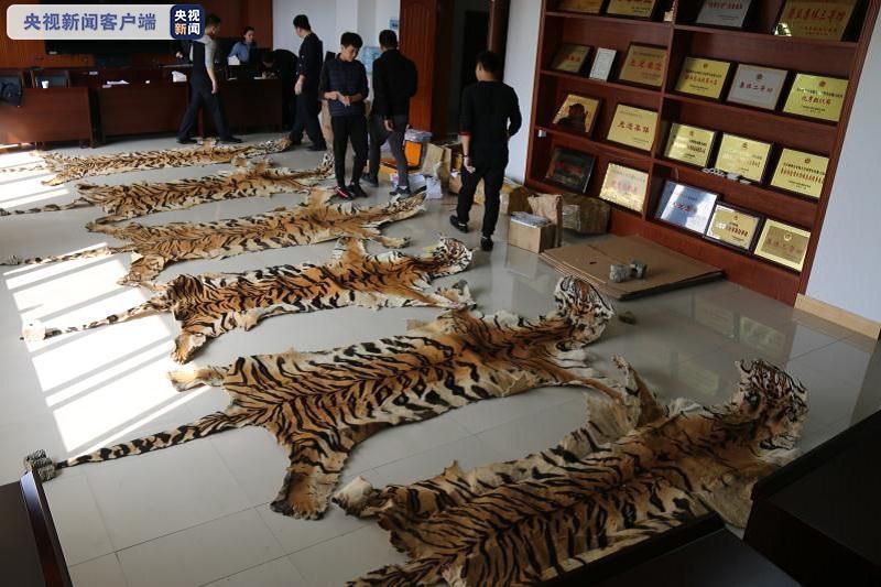 ���������һҳ