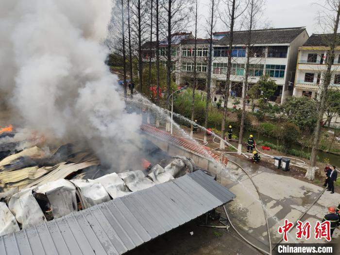 �㽭����һ��֯�����������������100���˸��ֳ���Ԯ