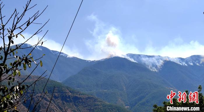 Զ��ľ��ɭ�ֻ����ֳ��������� ��