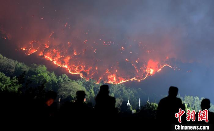 �Ĵ�����ɭ�ֻ��ָ�ȼ��ҹ����ǧ����¡������