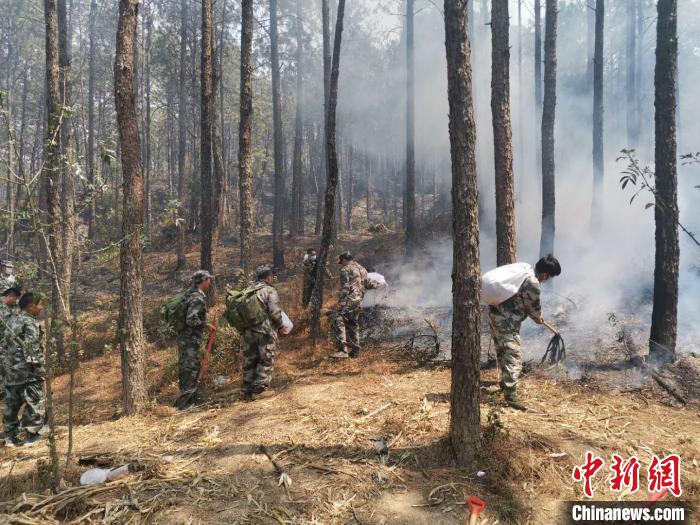 �Ĵ�����������ɭ�ֻ��֣�2����������������1�������˾�