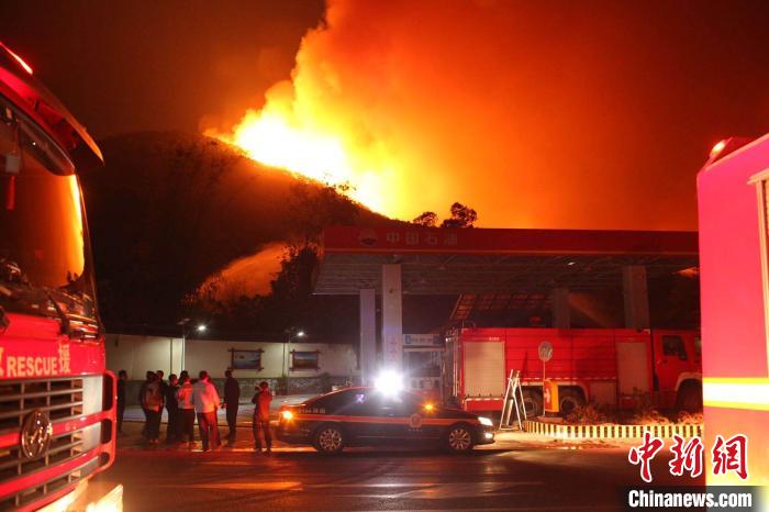 �Ĵ�����������ɭ�ֻ����ֳ���ɽ���������ҹ���ٱ�����