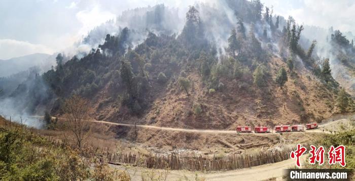 ������Ԯ����Ϊ�𳡹�ˮ��������ǿ ��