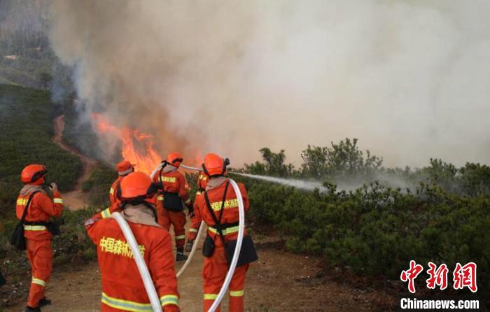 ɭ������Ա���ڻ��˴����𡣡�����ǿ ��