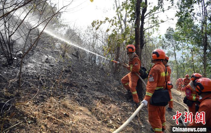 �Ĵ�����������ɭ�ֻ����ֳ�������������ȼǿ��������