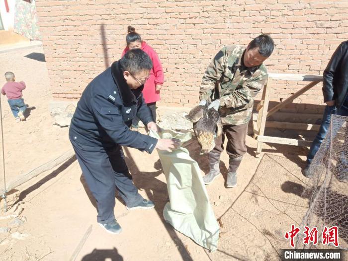 ͼΪɭ�ֹ������ž����Ľ�񡣡���־�� ��