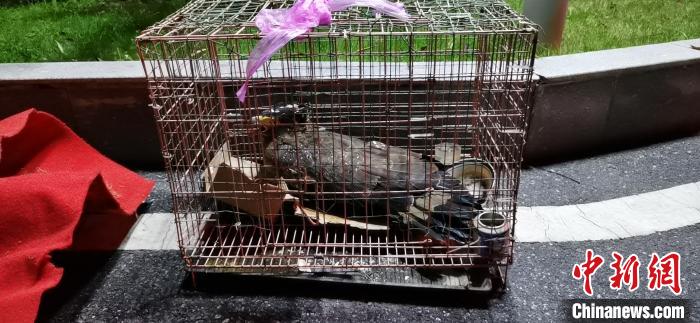 Ŀǰ���ö������˴��ж���԰���йܻ��������� ��