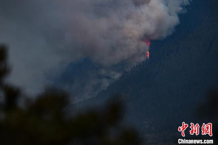 ������֥�а�����ͻ��ɭ�ֻ����������˾���������