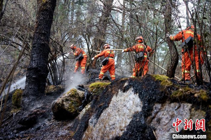 �ֳ�ֱ��������ȫ��������֥������ɽ�����߻���