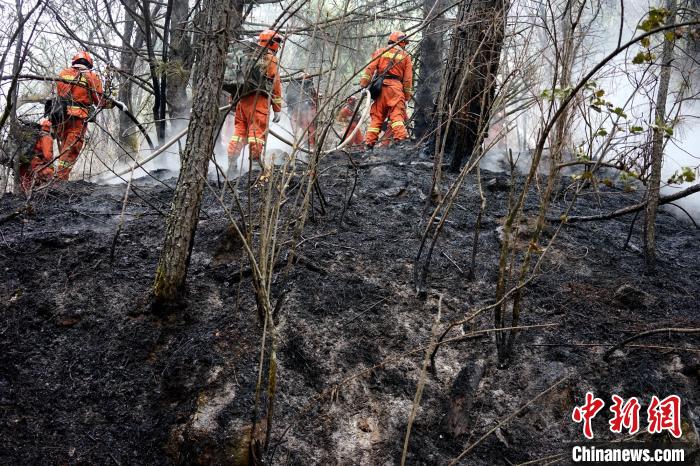 ͼΪɭ������ָսԱ��ɽ��ͦ���������ɲ� ��