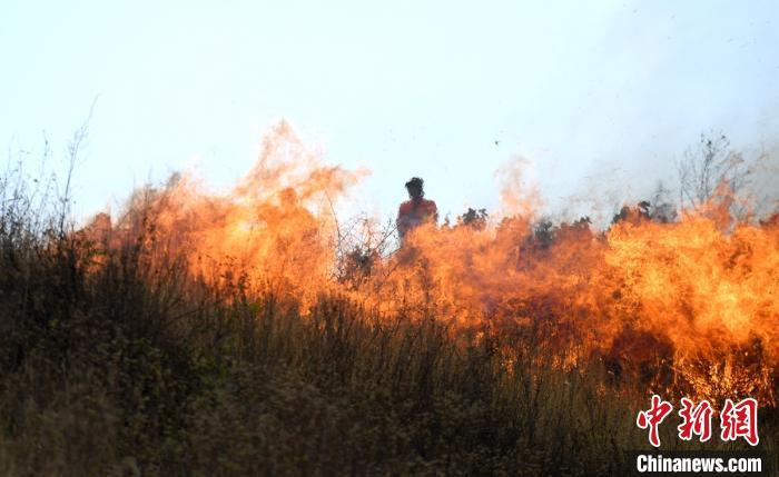 ���������һҳ