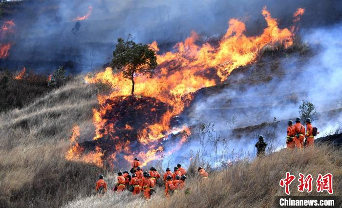 ���������һҳ