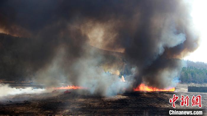 ���ɹŴ��˰���ɭ������֧�ӿ�չ���ģ���ʵս����